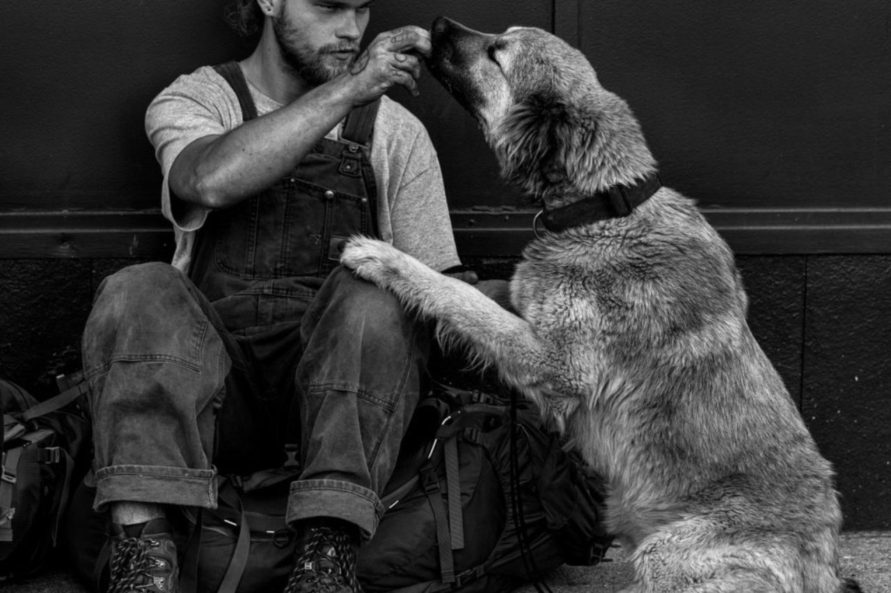 homeless-man-feeding-his-dog
